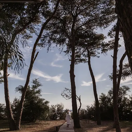 酒店 Art - Small Luxury Of The World (adults Only) 利卡斯戴勒