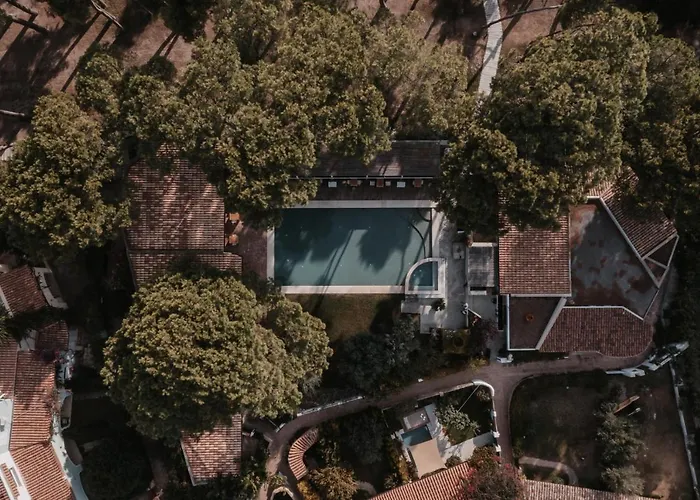 酒店 Art - Small Luxury Of The World (adults Only) 利卡斯戴勒