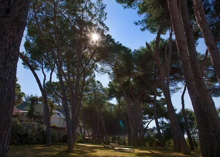 酒店 Art - Small Luxury Of The World (adults Only)