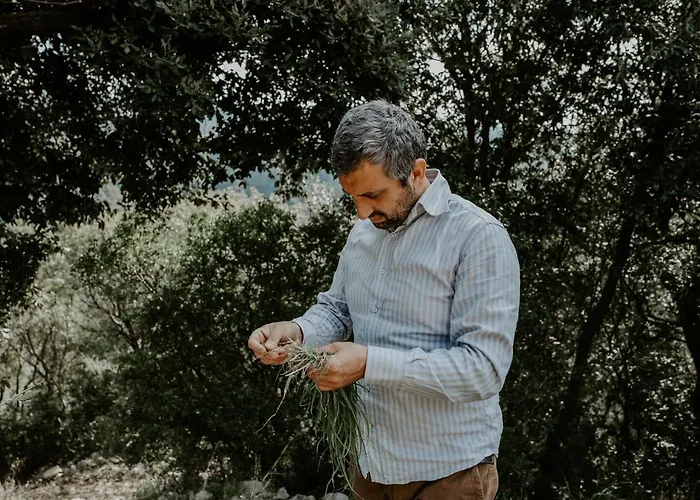 Art - Small Luxury Of The World (adults Only) 利卡斯戴勒