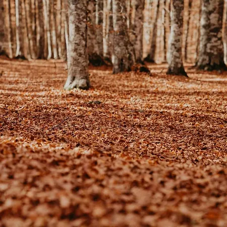 Szálloda Art - Small Luxury Of The World (adults Only) Le Castella